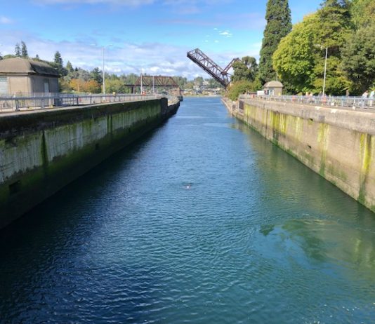 Breaching Locks and Sen. Ericksen’s Stunt Legislation