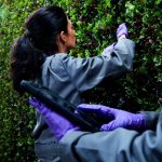 plenty-wall-hero-11_medium-768×768