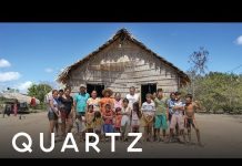 Sunday Video: How To Protect The Amazon Rainforest