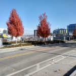 IMG_20191105_115527397_HDR