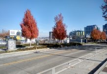 Thomas Street in South Lake Union To Get Traffic Diverter, Protected Intersection