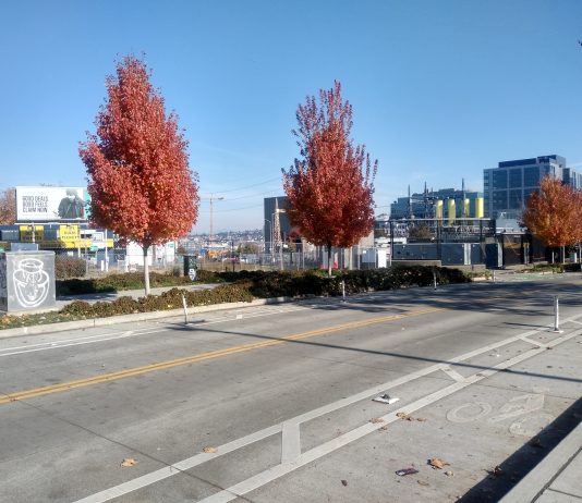 Thomas Street in South Lake Union To Get Traffic Diverter, Protected Intersection