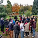 Scott Campaign Canvass_20191026