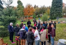 Spike In Renters Will Swing the 2019 Election… If They Turn Out