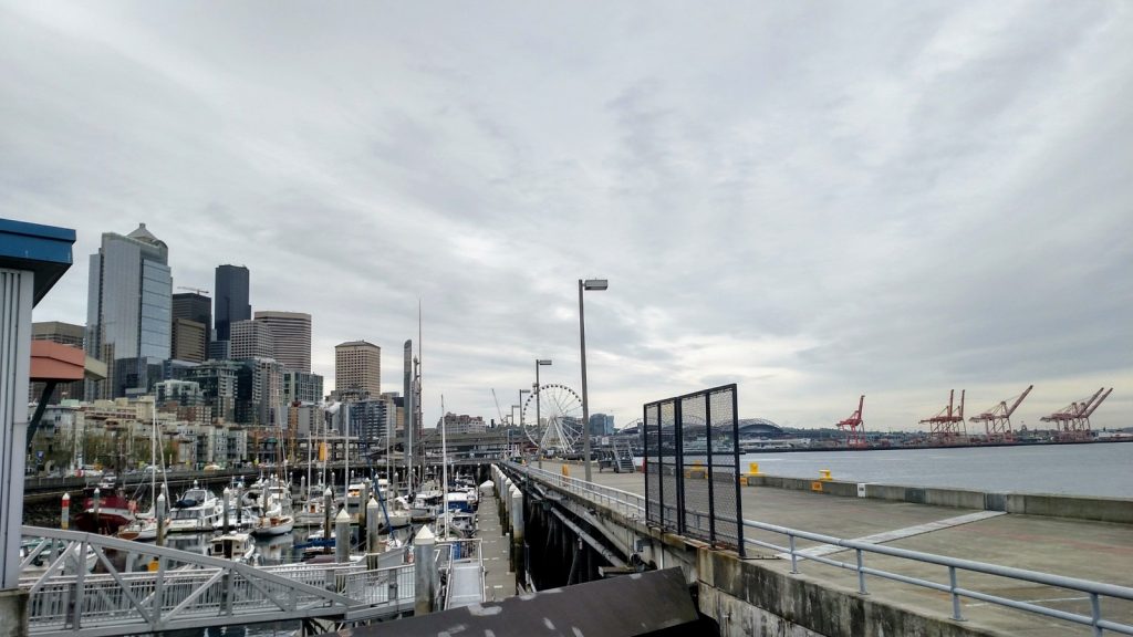 Bell Harbor Marina in the foreground, downtown, and the cranes around Harbor Island.