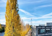 Grow The Urbanist This #GivingTuesday Burke Gilman Trail from the Fremont Bridge. (Photo by author)