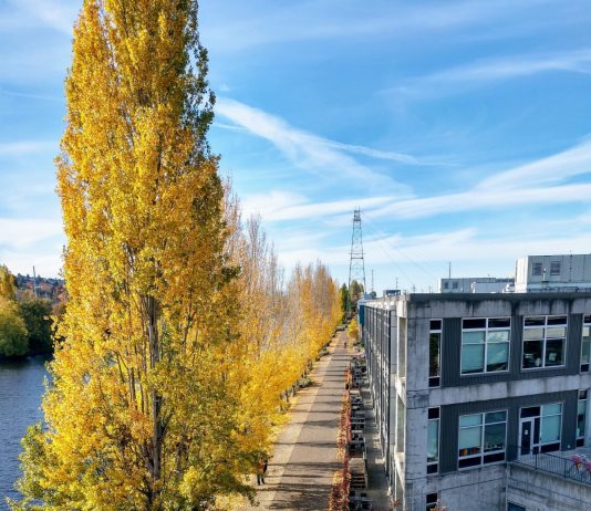 Grow The Urbanist This #GivingTuesday Burke Gilman Trail from the Fremont Bridge. (Photo by author)