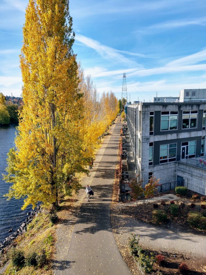 Burke Gilman Trail from the Fremont Bridge. (Photo by author)