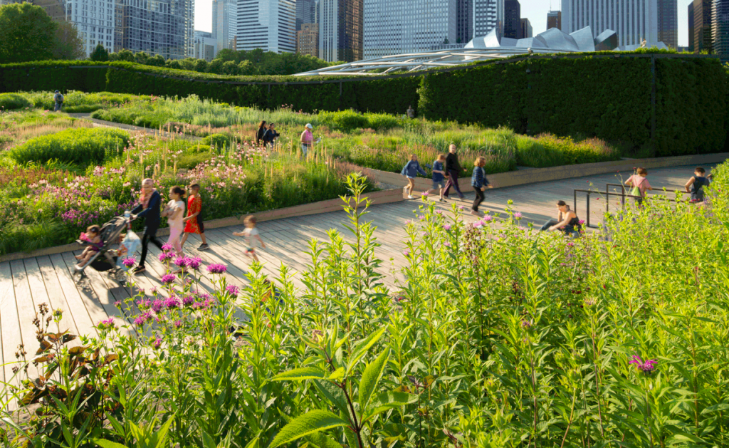 GGN, the landscape architecture firm that will design the Battery Portal Park, has earned national recognition for projects such as the Lurie Garden at Millennium Park in Chicago (shown above) and the African American Museum in Washington D.C. (Credit: GGN)