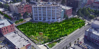 A rendering of an orchard concept for the future park planned at the Battery Portal Site in Belltown. During the next year there will be opportunities for the public to contribute design ideas for the future park. (Credit: Recharge the Battery)