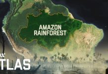 Sunday Video: Destruction of the Amazon
