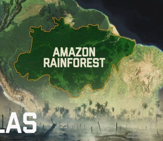 Sunday Video: Destruction of the Amazon