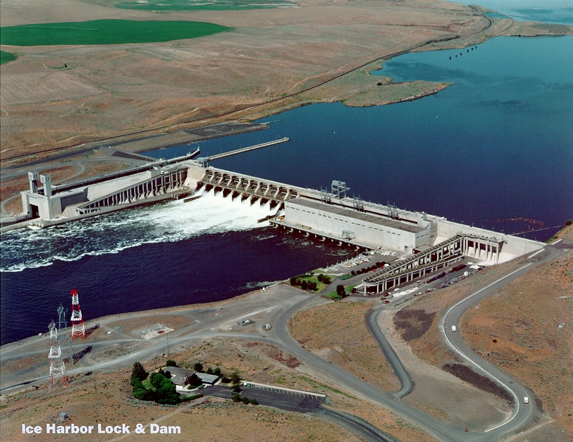 Ice Harbor Lock and Dam is the westernmost of the four Lower Snake dams targeted for removal. (Credit: U.S. Government)