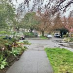 A0E36328-60FA-412E-93FE-276F7436BF07_1_201_a