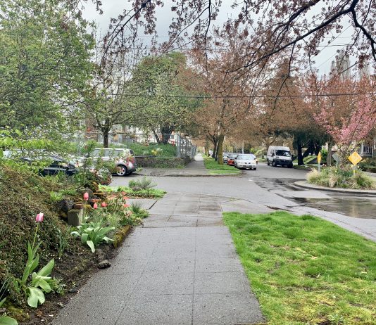 Will Washington Become One of the First States to Require Climate Action through Urban Planning?