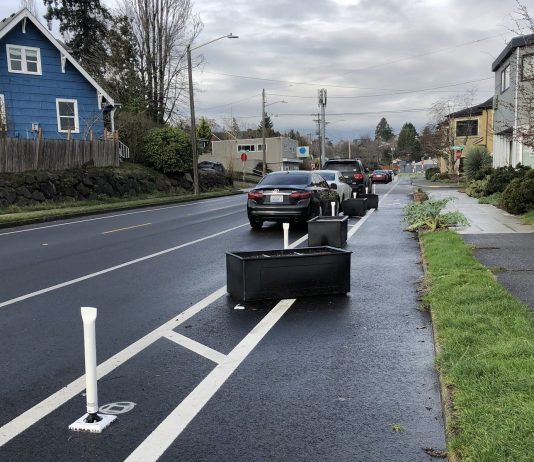Planter Boxes in South Seattle Bike Lane Removed After Complaints