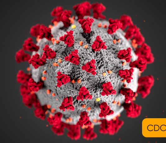 Doing Journalism in Pandemic Mode