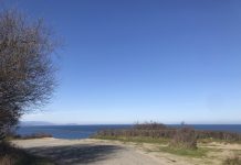 What We’re Reading: Failure To Test, Greater Eastside Transit, and Economic Shock