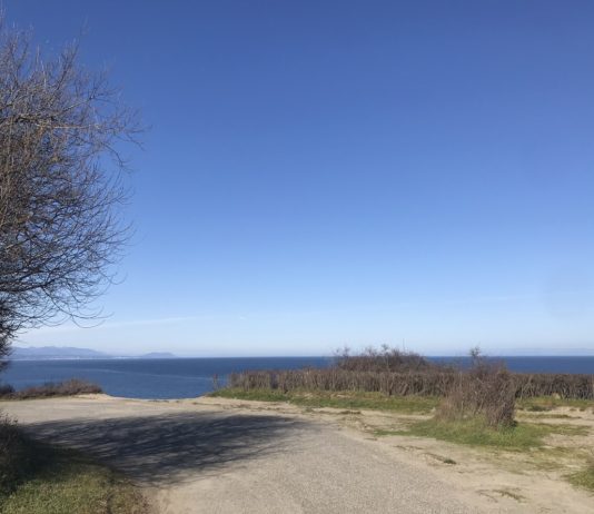 What We’re Reading: Failure To Test, Greater Eastside Transit, and Economic Shock