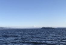 What We’re Reading: Stay Home, AMDG, and Forest Practices