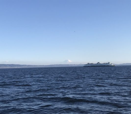 What We’re Reading: Stay Home, AMDG, and Forest Practices