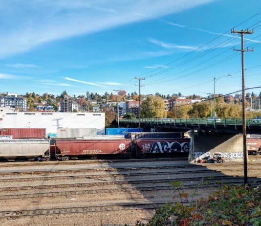 The BINMIC Industrial Plan is Dead BNSF Railyard in Interbay. (Photo by Doug Trumm)