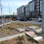 IMG_20200227_110120574