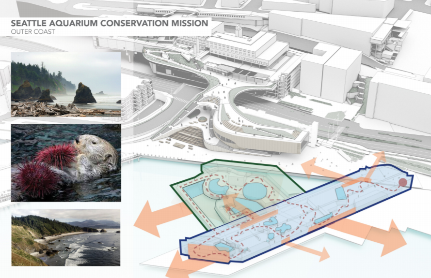 The Aquarium is also planning some shore habitat restoration. (City of Seattle)