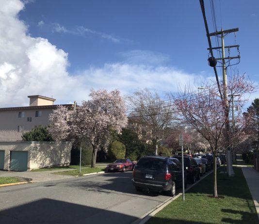 What We’re Reading: Halt, Emptying Food Banks, and Pandemic Privilege