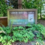 81AE1953-F614-4A3C-A712-DB49027FD932_1_201_a