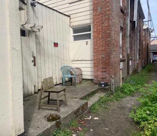 Readers Shared Their Alley Explorations! Next Up The Urbanist’s Scavenger Hunt #4: Pocket Parks