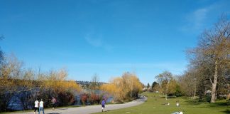 Green Lake Park as of Thursday afternoon. (Photo by Doug Trumm)
