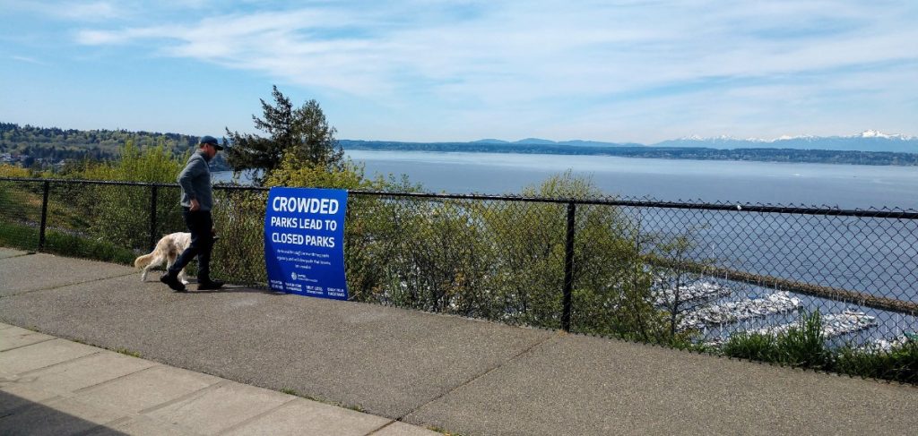 Man and dog ponder if they may be contributing to the overcrowding of Sunset Hill Park. (Photo by author)