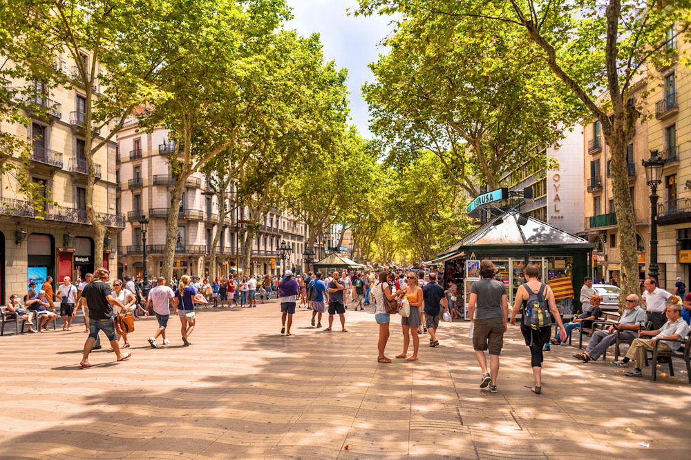 La Rambla in Barcelona offers the look and feel of a car free street surrounded by dense urban housing. Streets like these would make up the entire neighborhood and work around existing trees (image source: Hotel Casa Del Sol)