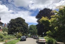 What We’re Reading: Cafe Streets, Still Struggling, and Naming Rights