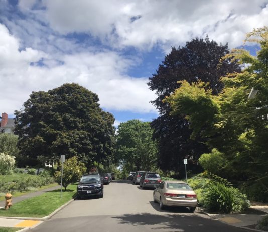 What We’re Reading: Cafe Streets, Still Struggling, and Naming Rights