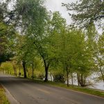 IMG_20190427_151918194_HDR