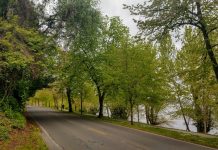 SDOT Announces Four More Miles of Open Streets Plus Lake Washington Boulevard Pilot