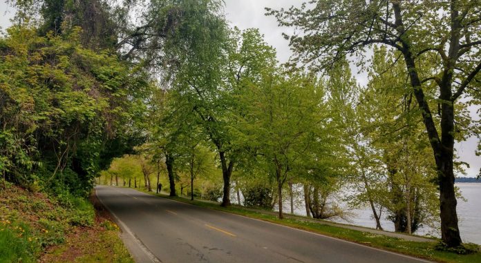 IMG_20190427_151918194_HDR