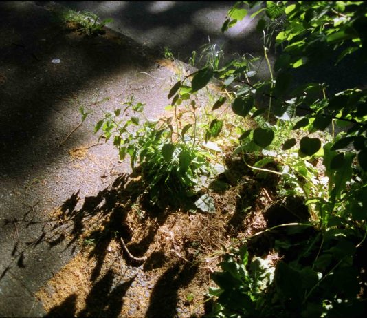 To Thrive, Meanwhile