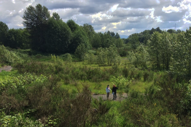 Green space and trees that will become Myers Park.