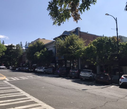 What We’re Reading: AFFH Rule Row, Over-Parked, and Ban SUVs A block in the city center of Ashland, Oregon.