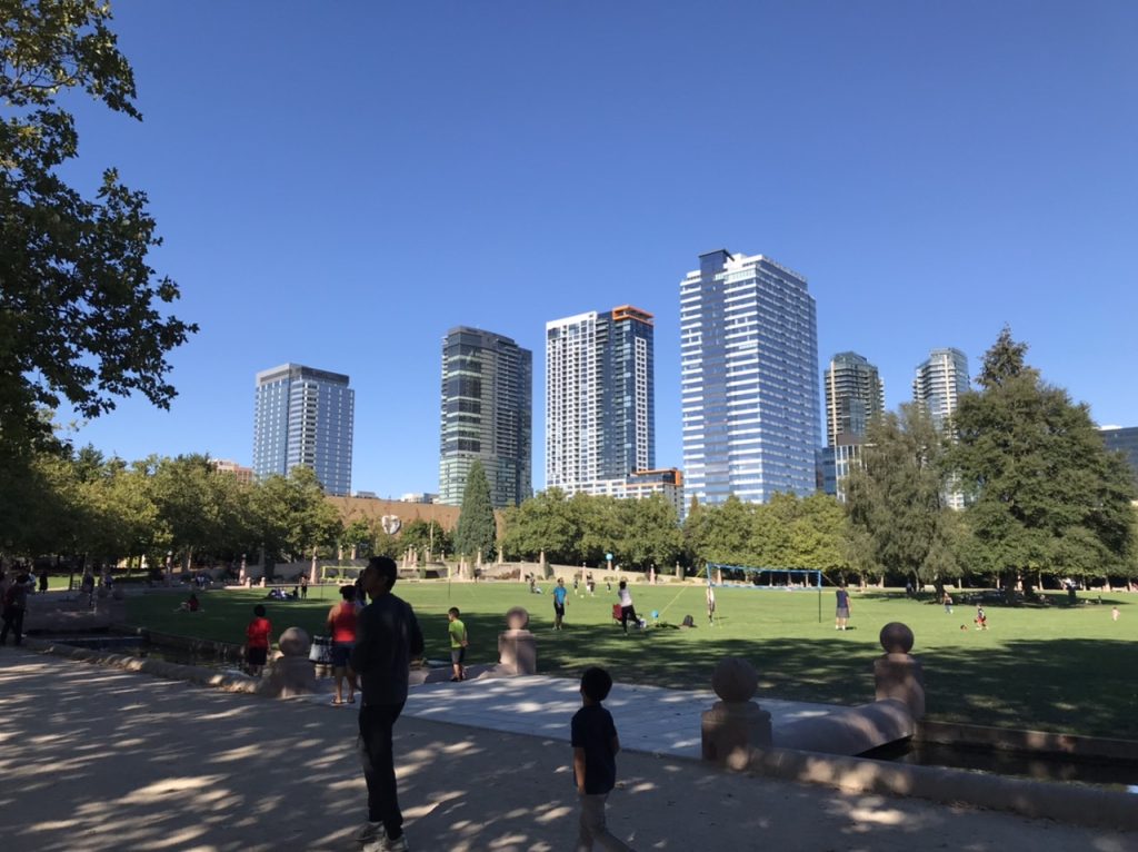 Bellevue's growing skyline from Downtown Park.