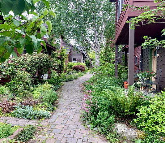 Designing for Community in the Covid City