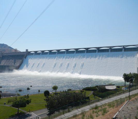 What We’re Reading: Missing the Commute, Top 4, and Spawning Again Grand Coulee Dam