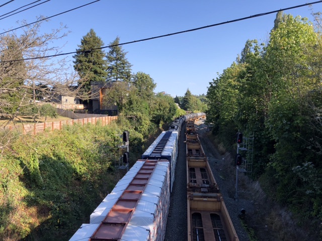 Freight trains moving into the BINMIC area. Unbeknownst to anyone reading the draft report, rail freight is a vital part of the economy of the area. (Photo by Ray Dubicki)