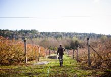 Wonkabout Washington: Farms Under Threat Farmer in a field. (Erinn J. Hale Photography)