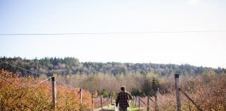 Farmer in a field. (Erinn J. Hale Photography)