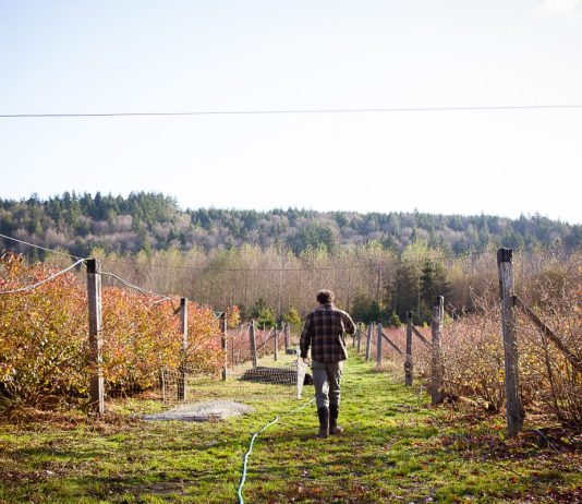 Wonkabout Washington: Farms Under Threat Farmer in a field. (Erinn J. Hale Photography)