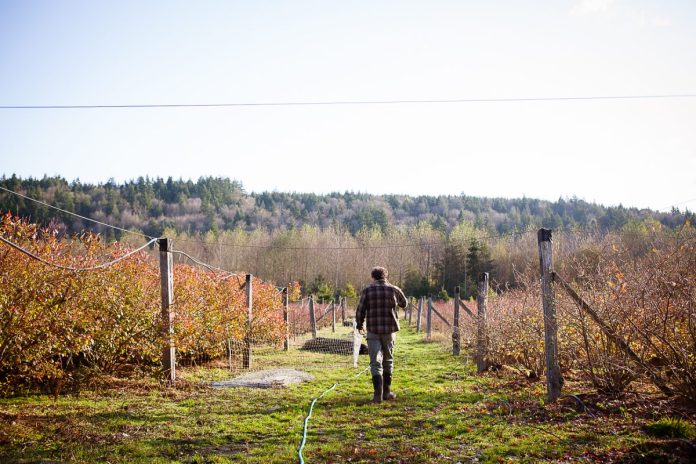 Farmer in a field. (Erinn J. Hale Photography)
